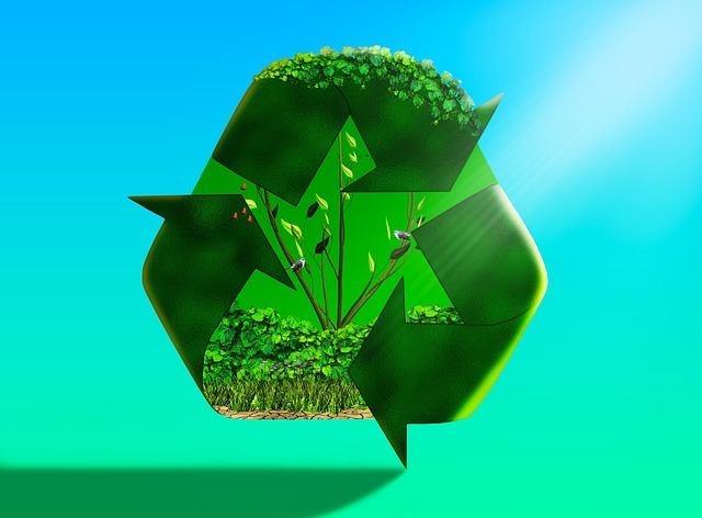 Basics of Waste Management and Circular Economy